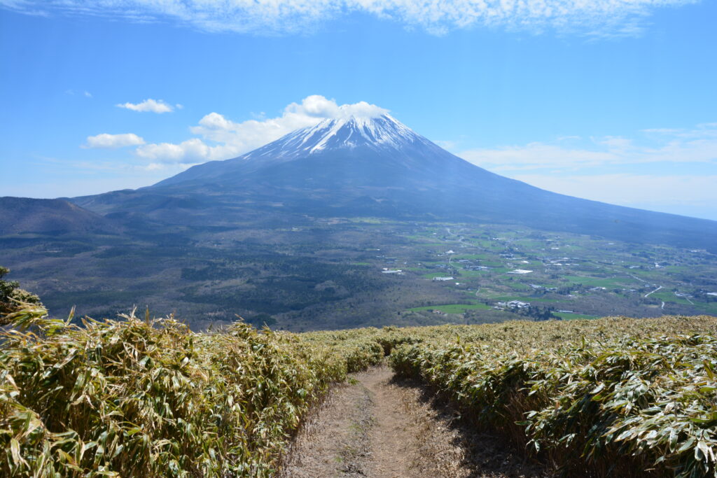 竜ヶ岳の登山道からの富士山