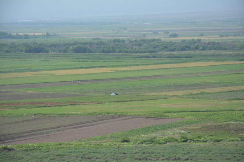 アルメニアのホルヴィラップ修道院前の畑