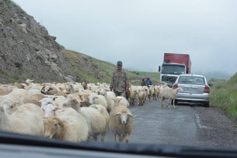 アルメニアの家畜の移動