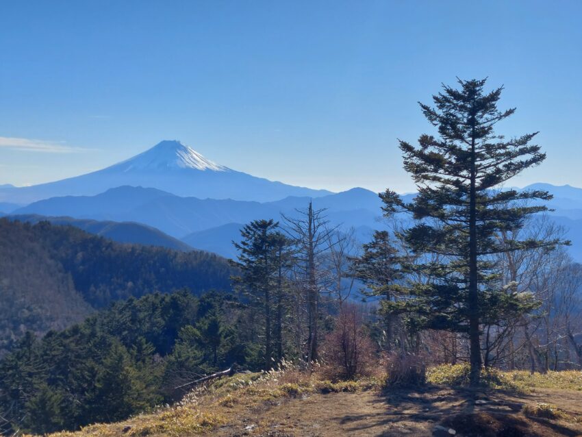 牛奥ノ雁ヶ腹摺山山頂から眺める富士山
