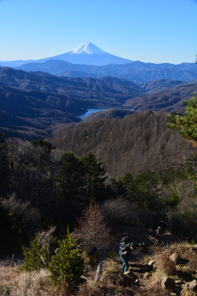 大菩薩嶺登山道、唐松尾根から眺める富士山
