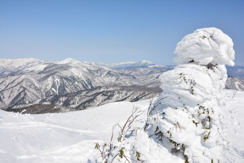 冬の武尊山山頂から眺める至仏山と燧ヶ岳