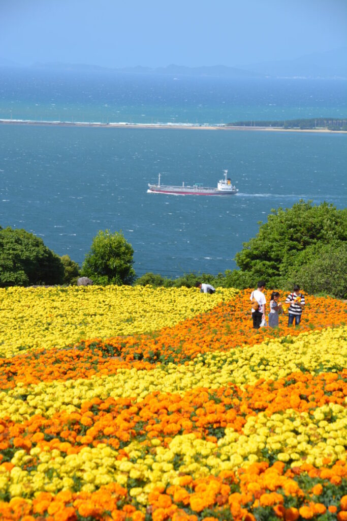 のこのしまアイランドパークのお花畑と博多湾と船
