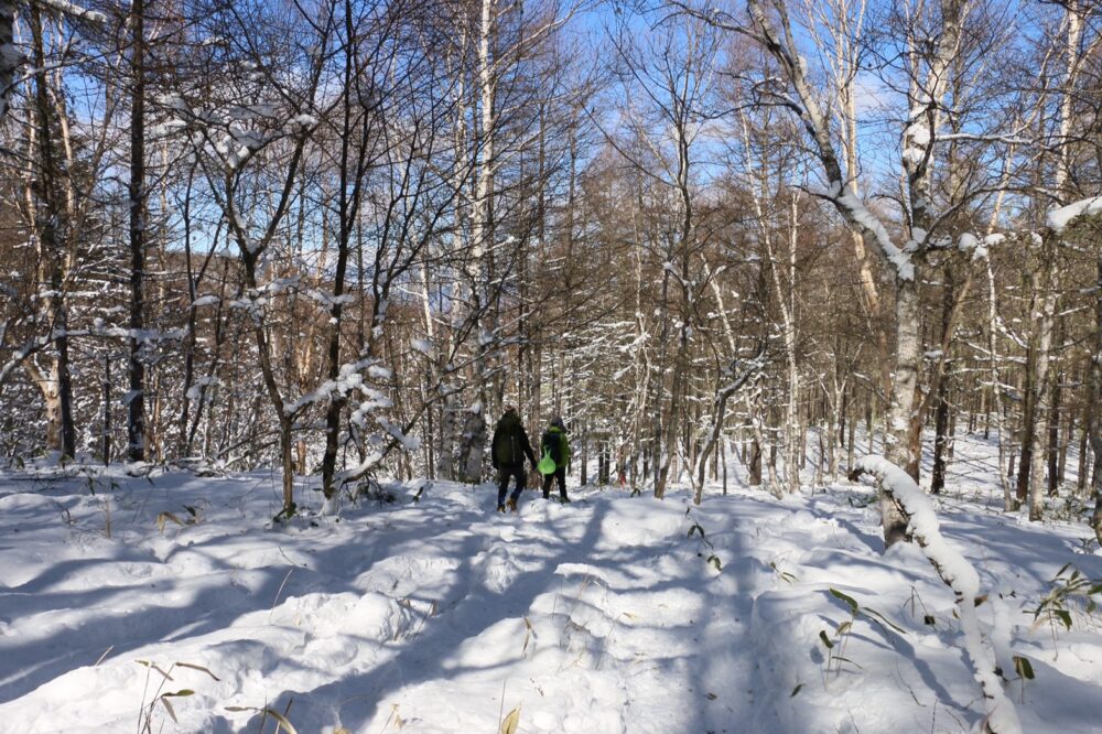 冬の入笠山ハイキング