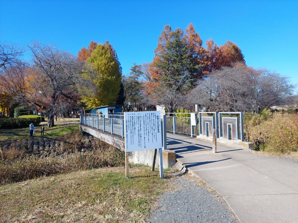 伊佐沼公園の駐車場から公園に入る冒険の森連絡橋