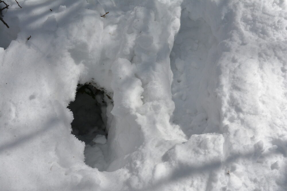 冬の黒斑山登山道の穴