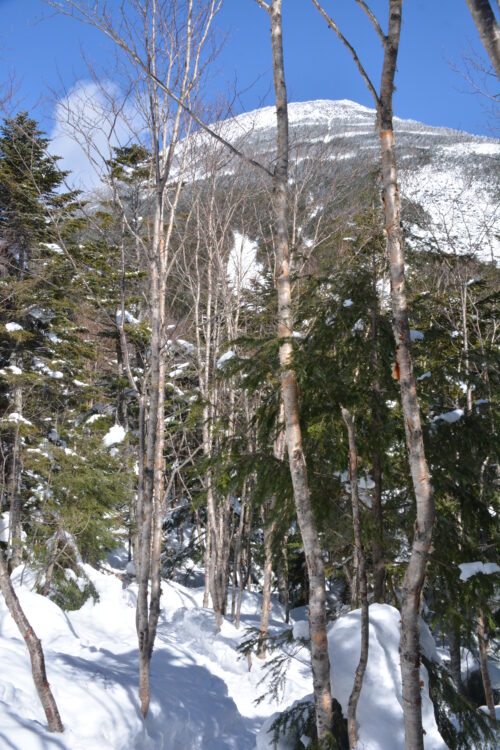 冬の蓼科山登山道から眺める蓼科山