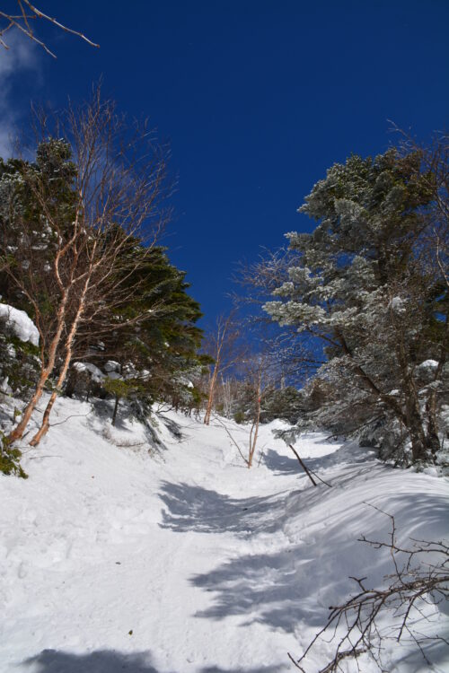 冬の蓼科山登山道と八ヶ岳ブルー