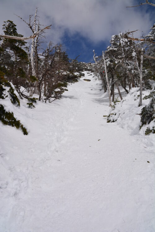 冬の蓼科山登山道