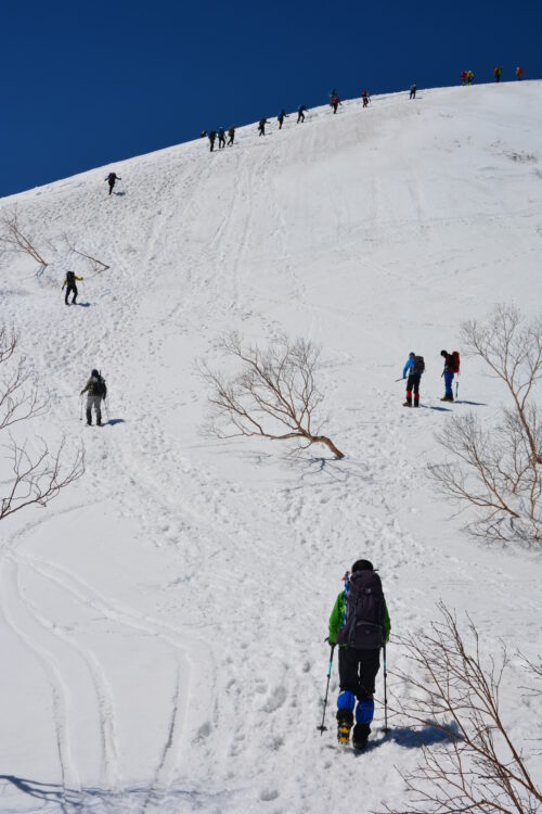 雪の唐松岳の登山道