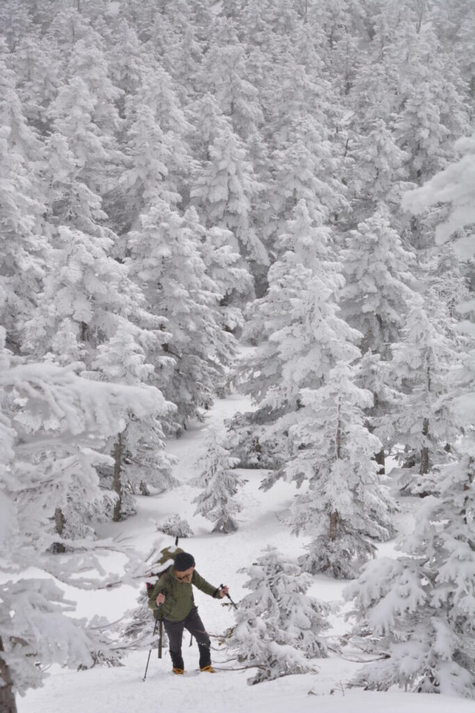 冬の西吾妻山の登山道と樹氷
