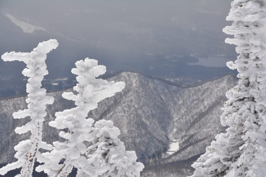 冬の西吾妻山の登山道で見た霧氷