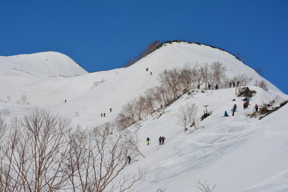 残雪期の唐松岳の登山道