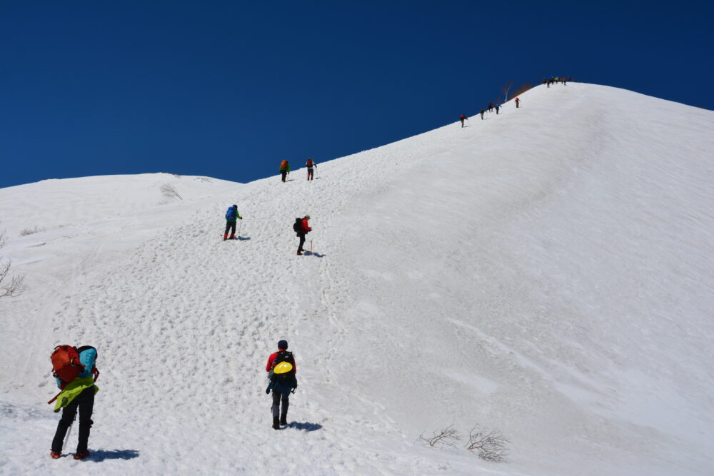 残雪期の唐松岳を登る登山者たち