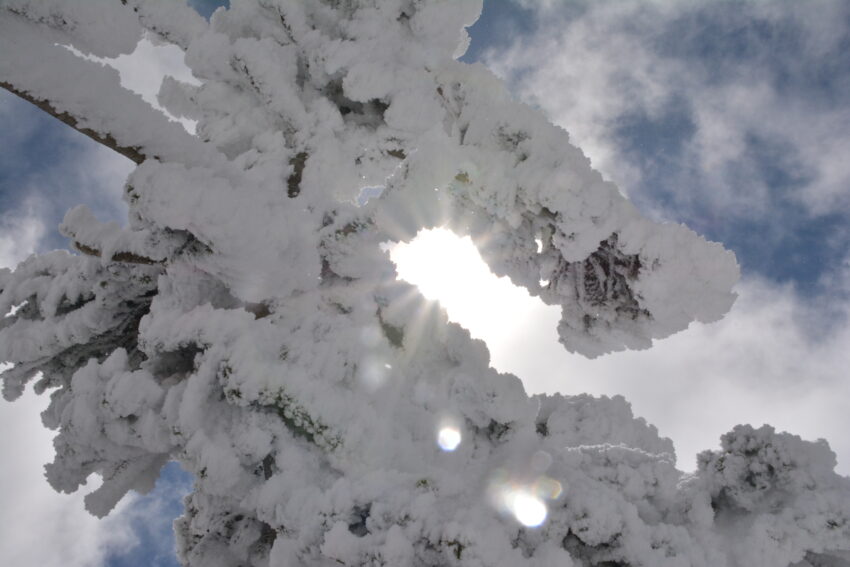 冬の西吾妻山の樹氷（リトルモンスター）