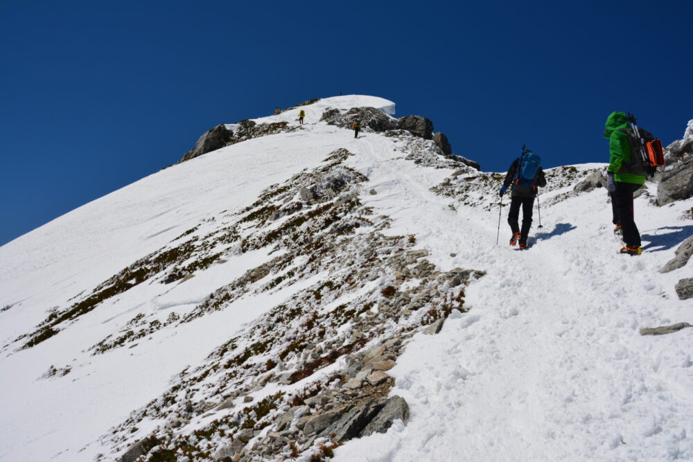 残雪期の唐松岳を登る登山者たち