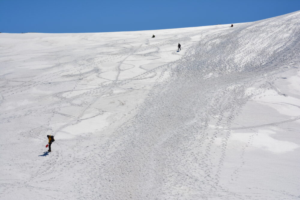 残雪期の唐松岳登山道で遊ぶ登山者たち