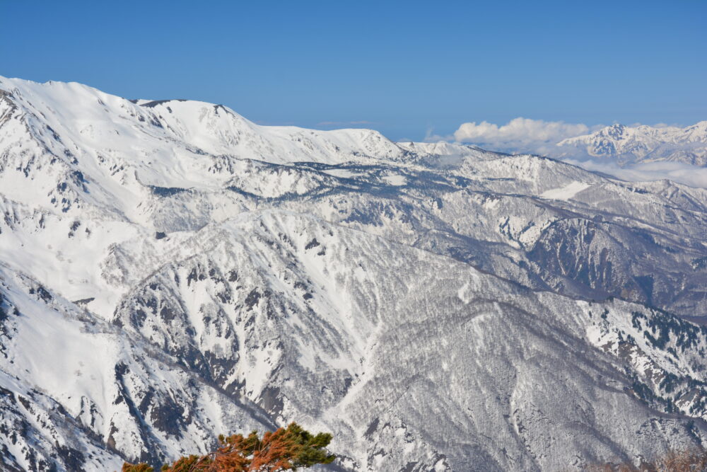 残雪期の唐松岳から眺める後立山連峰