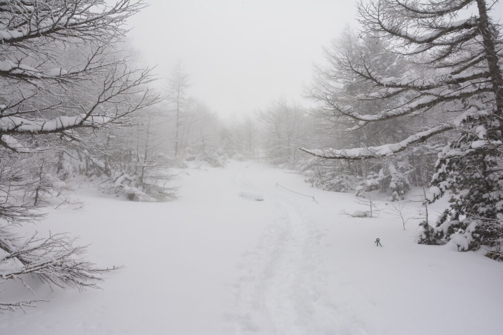 降雪時の黒斑山登山道