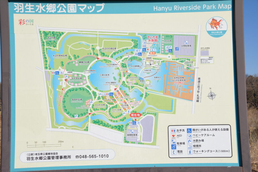 羽生水郷公園の園内マップ
