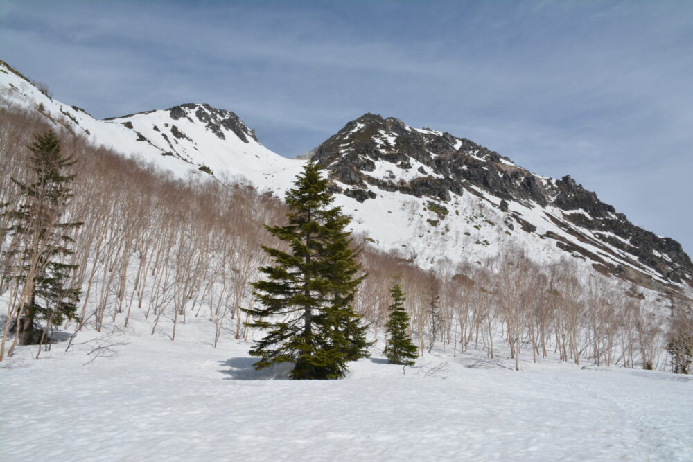 残雪期の焼岳登山道（新中の湯ルート）から見る焼岳山頂