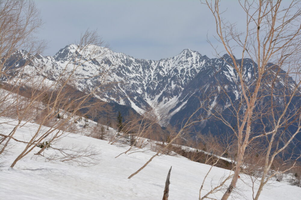残雪期の焼岳登山道（新中の湯ルート）から見る穂高岳