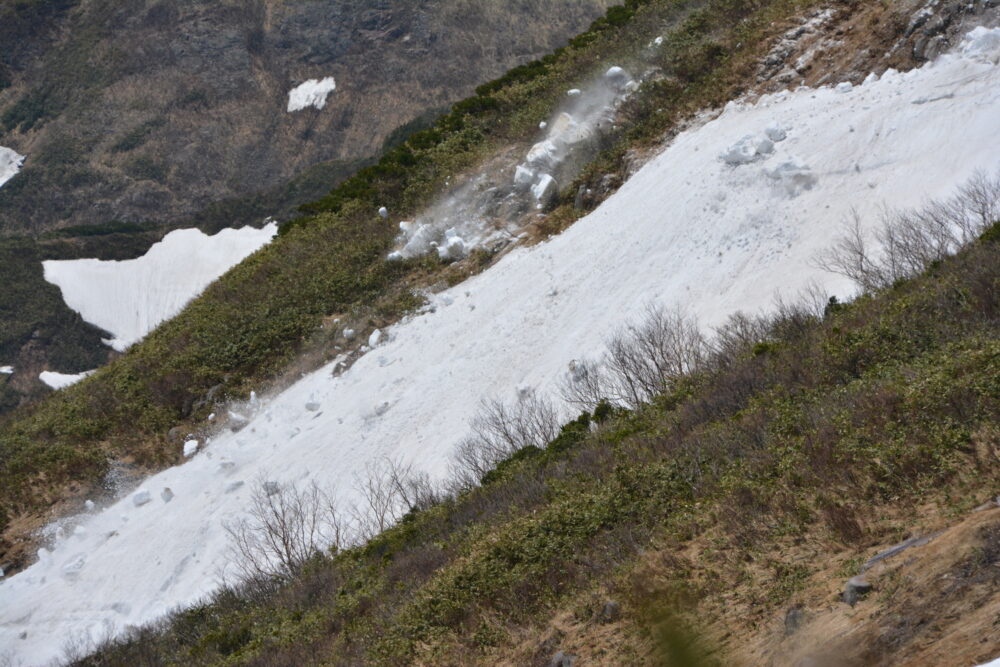 春（残雪期）の巻機山の雪崩