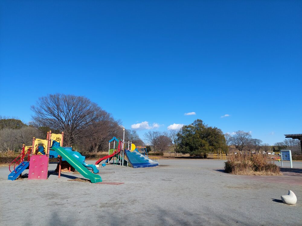 彩湖・道満グリーンパークの遊戯広場