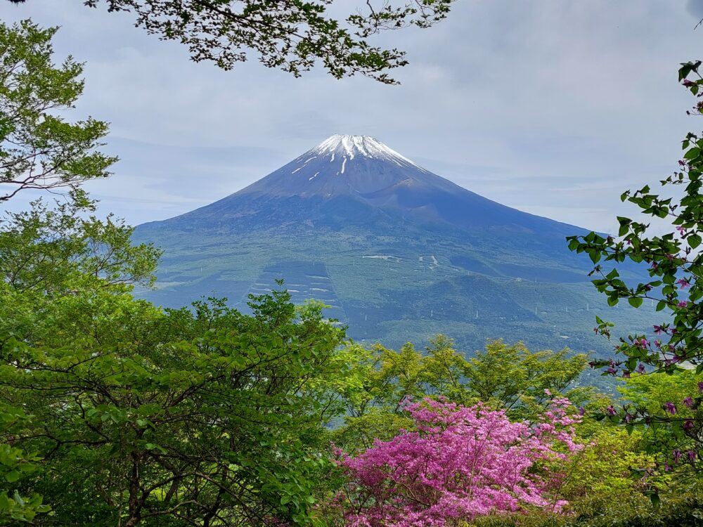 愛鷹山の黒岳～越前岳の登山道にある富士見台から眺める富士山
