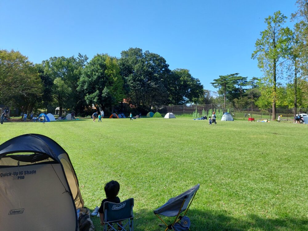 公園の芝生でピクニックする人たち