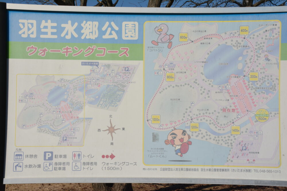 羽生水郷公園のウォーキングマップ