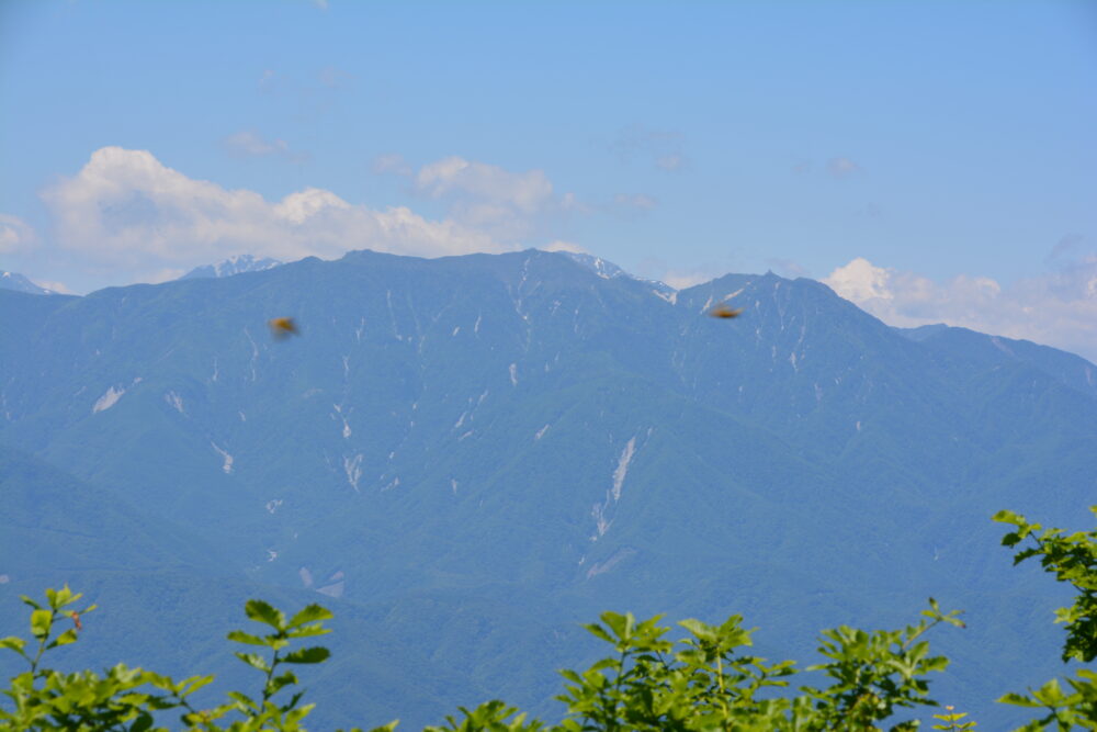 茅ヶ岳山頂から眺める鳳凰三山