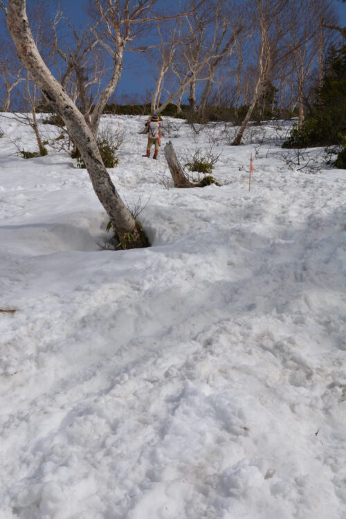 春（残雪期）の燕岳登山道