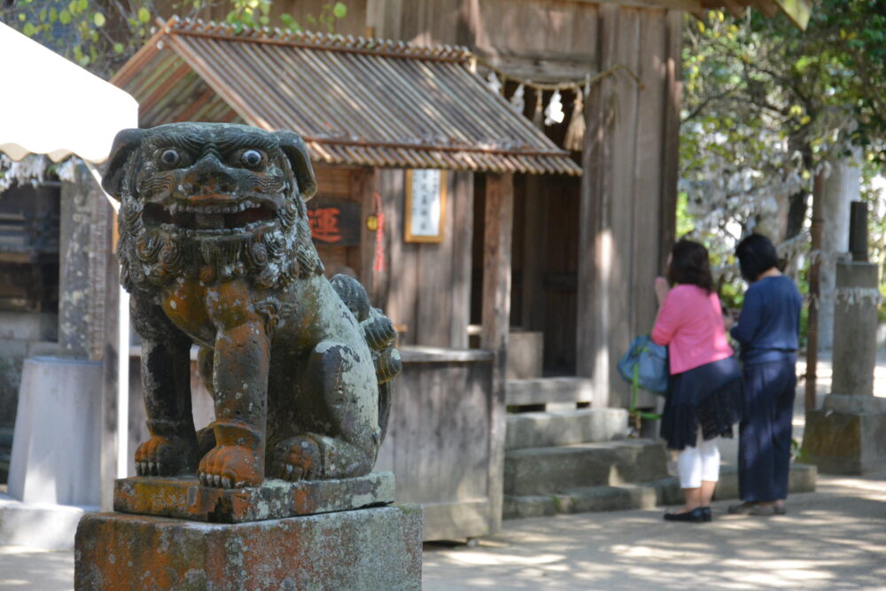 糸島の櫻井神社の狛犬