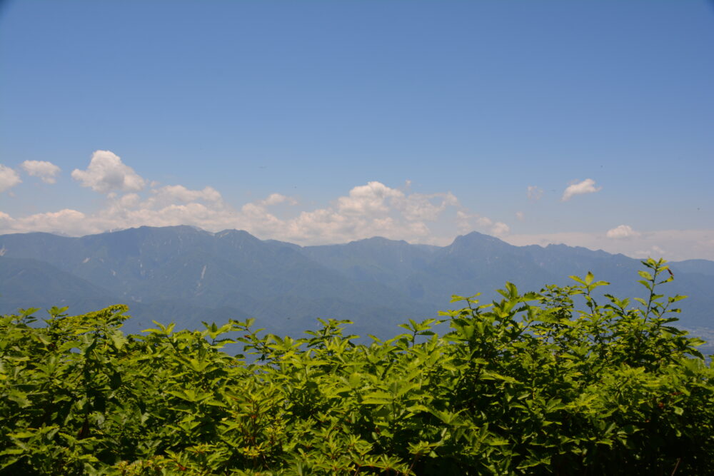 茅ヶ岳山頂から眺める南アルプス