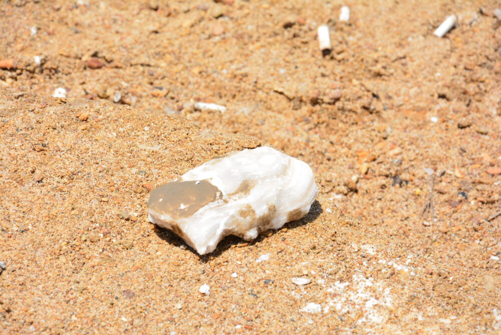 死海の塩の結晶