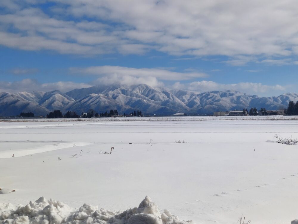 猪苗代インター付近の雪景色