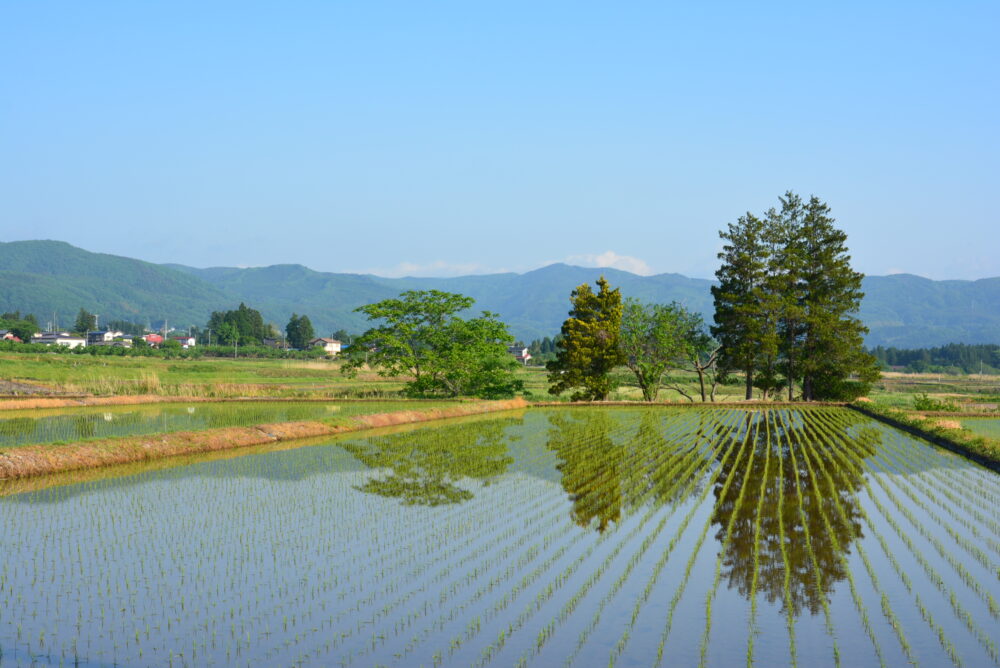 福島の田園風景