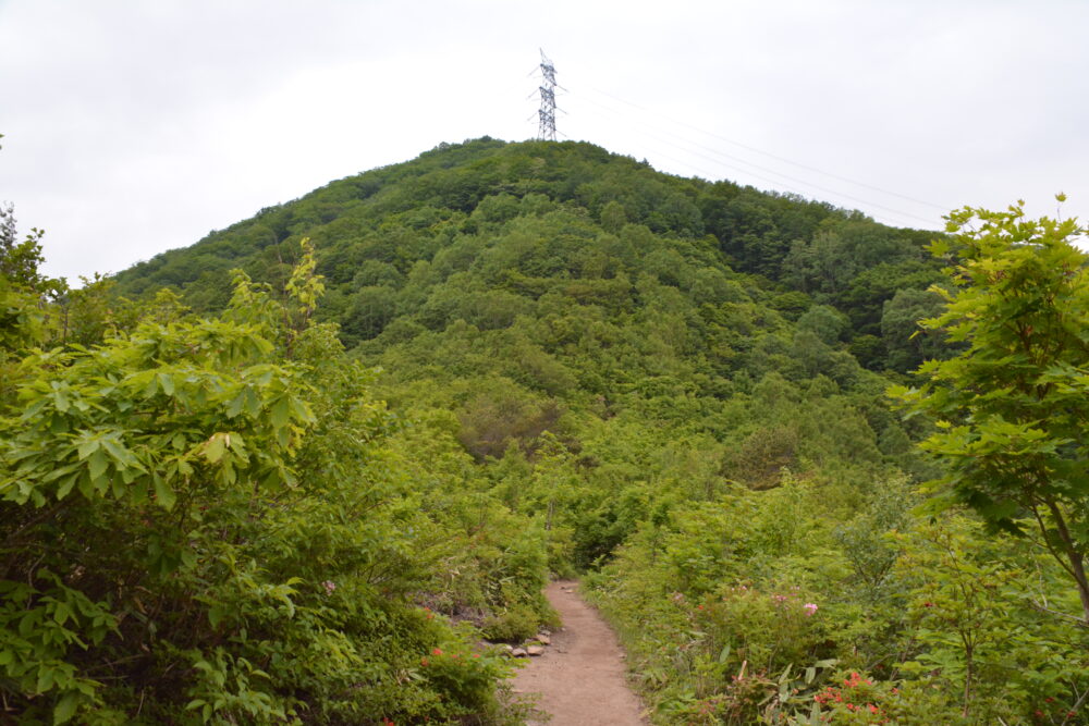 平標山の登山道と鉄塔