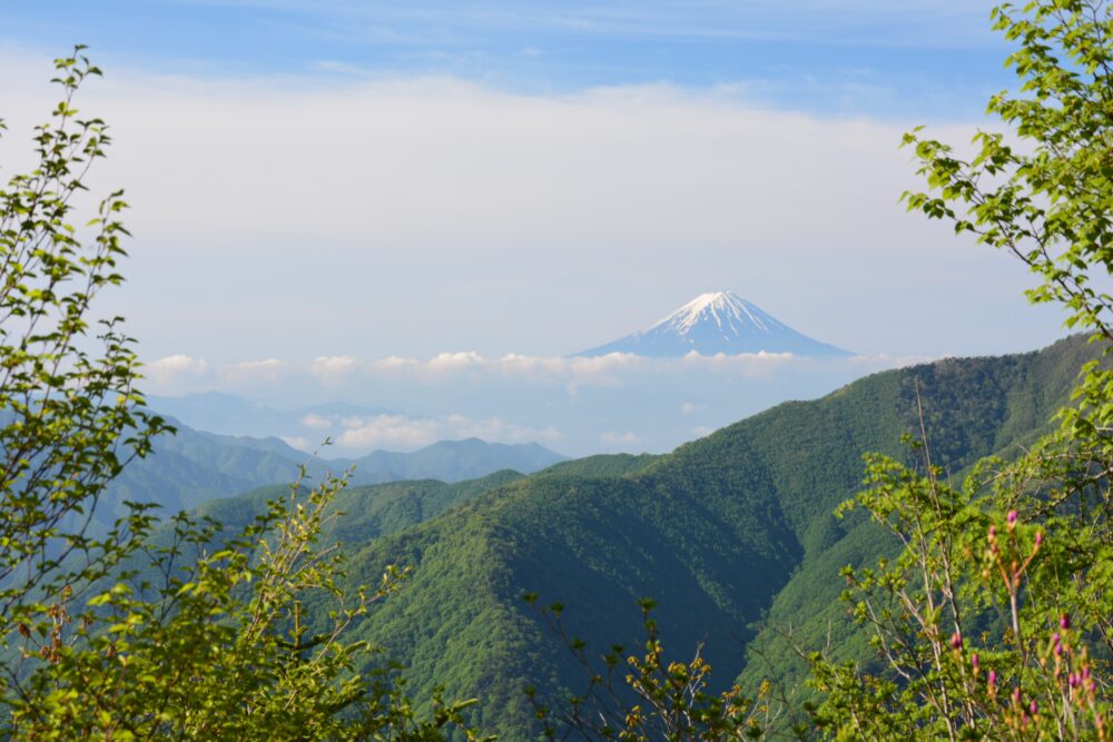 甲武信ヶ岳・徳ちゃん新道から見る富士山