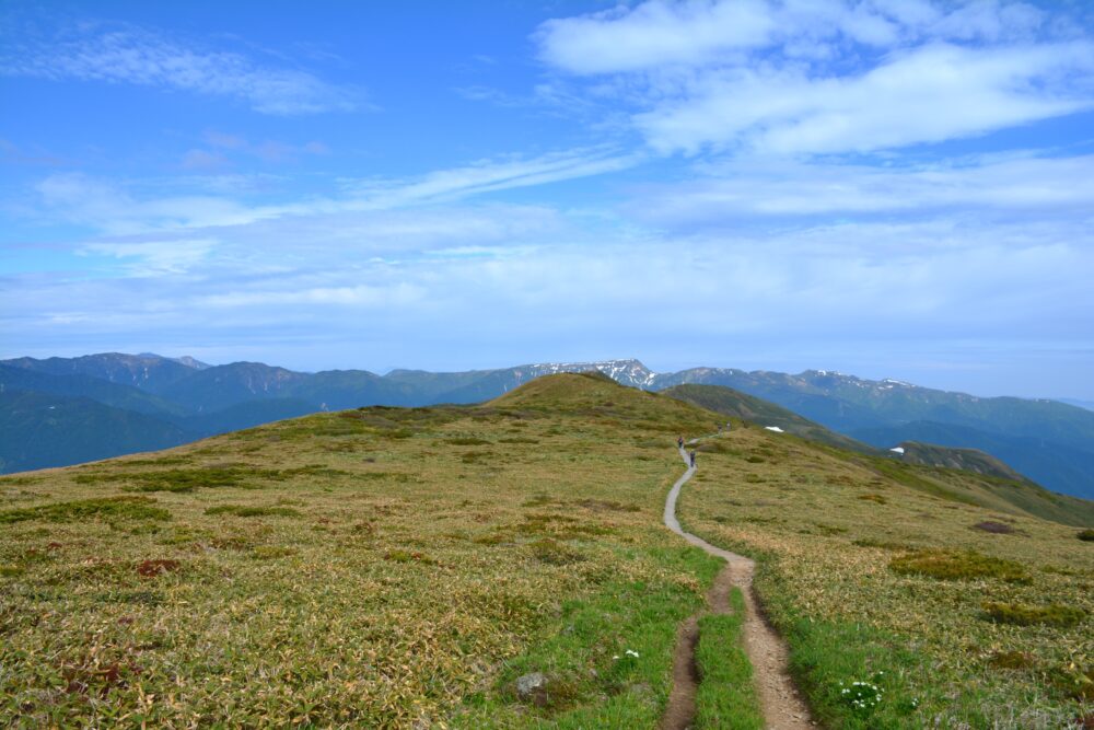 平標山から仙ノ倉山への稜線からの景色