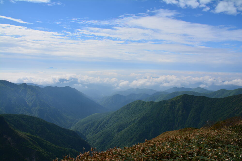平標山から仙ノ倉山への稜線からの景色