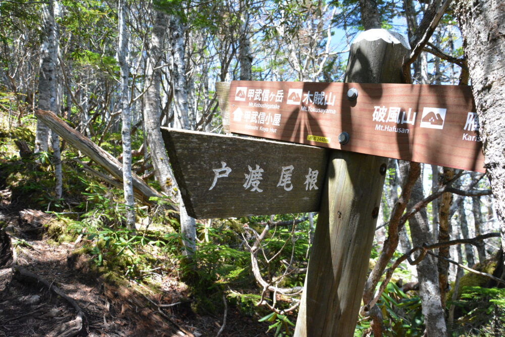 甲武信ヶ岳の登山標識