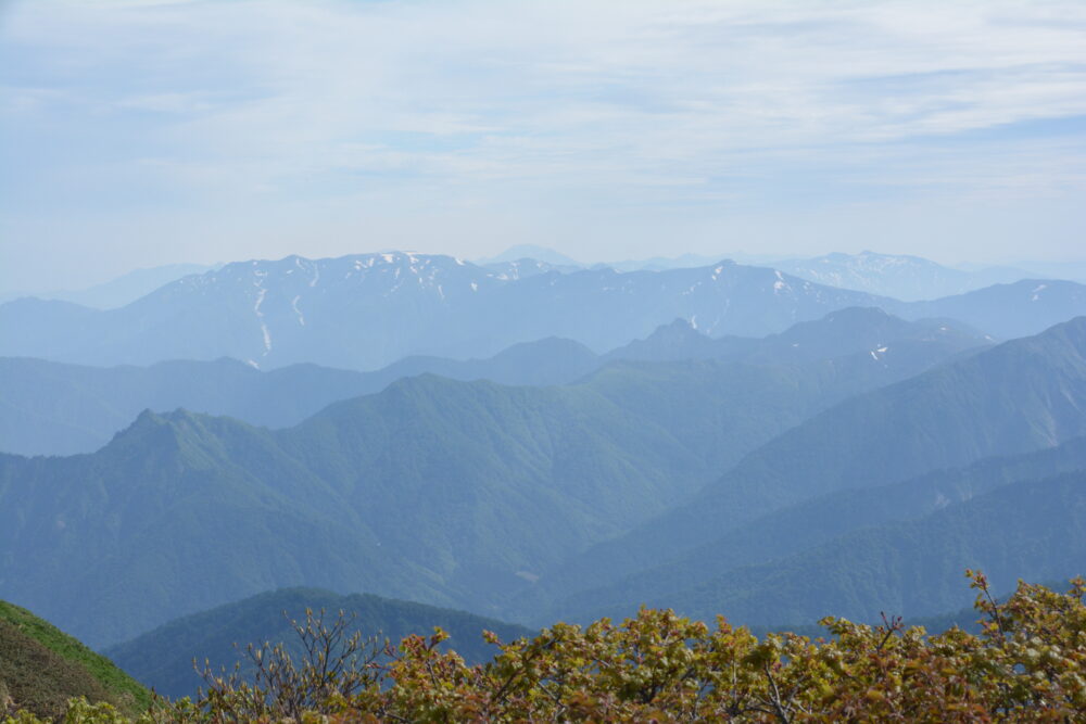 仙ノ倉山の山頂から眺める巻機山