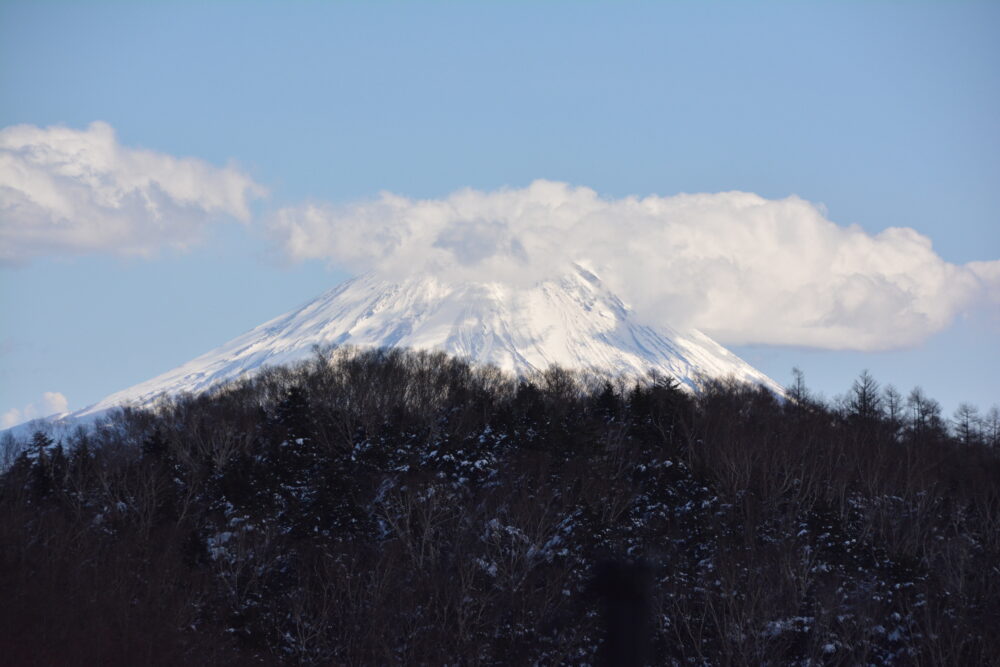 櫛形山の裸山から眺める富士山