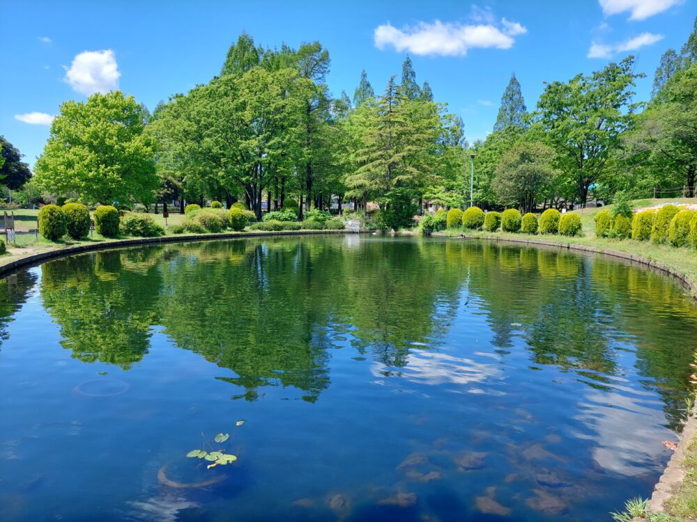 大崎公園の子供つり池