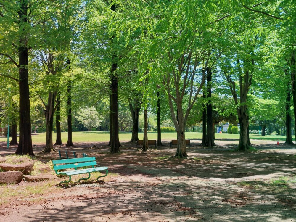 大崎公園の木々とベンチ
