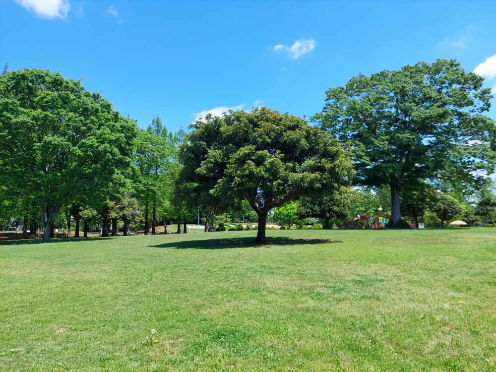 大崎公園の芝生広場