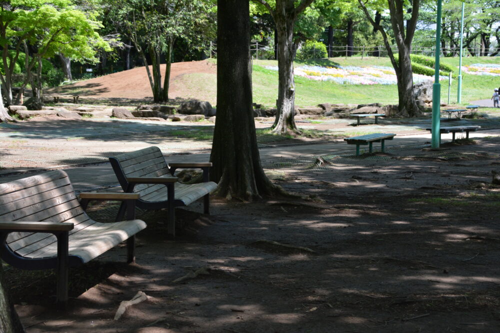 大崎公園のベンチ