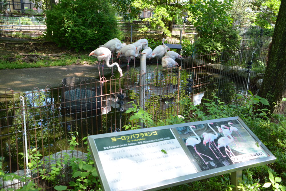 大崎公園の子供動物園